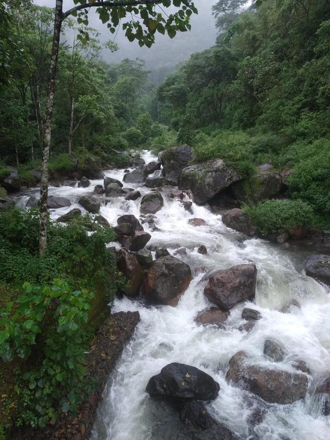 Aranya Baas Homestay Sukhia Pokhari Esterno foto